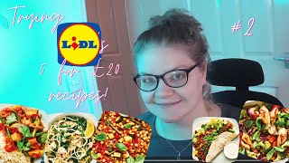 Trying Budget Friendly Lidl Recipes 2 5 meals for £20 [upl. by Anaizit]