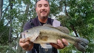 where do I fish idahofishing bassfishing idaho snakeriver [upl. by Bergmann117]