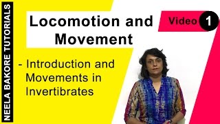 Locomotion and Movement  NEET  Introduction amp Movements in Invertebrates  Neela Bakore Tutorials [upl. by Idoj644]