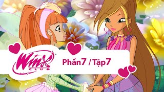 Winx Công chúa phép thuật  Phần 7 Tập 7 trọn bộ [upl. by Novyart]