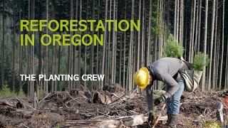 Reforestation in Oregon The Planting Crew [upl. by Anilra]