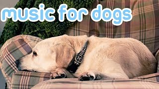 Calming Music for Dogs Relax and Soothe Your Anxious or Sleepless Dog with Music [upl. by Wesle39]