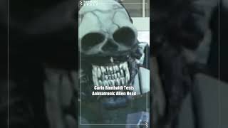 Carlo Rambalids Animatronic Alien Head [upl. by Sirah594]