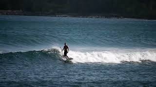 Stand Up Paddle Board Surfing [upl. by Norean]