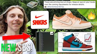 NEW SB DUNK LOW HITTING SKATESHOPS THIS WEEK Trocadéro Gardens  NAVAJO ARTS SB SPIKED IN PRICE [upl. by Ardnuhsor]