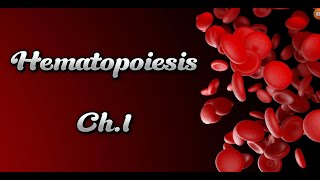 Hematology Ch1Hematopoiesis عملية تكوين الدم🩸 [upl. by Inah]