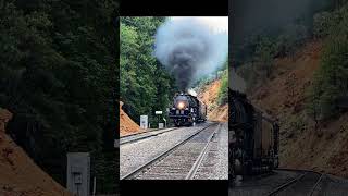 Chasing Big Boy Carpenter Rd Colfax CA train bigboy railroad railway steamtrain railfan [upl. by Rector]