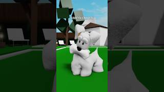 TADINHO DO MEU CACHORRINHO roblox [upl. by Alexandro]