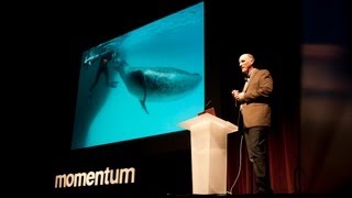 Momentum 2012 National Geographic Photographer Paul Nicklen [upl. by Cullie]