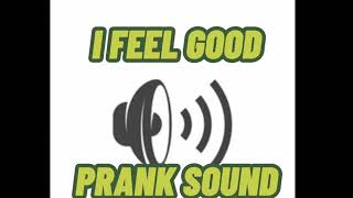 I FEEL GOOD PRANK SOUND🤣🤣SO GOOD [upl. by Gunther]