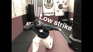 Low Strike Stick Fighting Martial Arts [upl. by Nareht427]