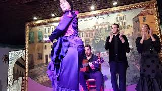 Flamenco Show Granada [upl. by Yvor]