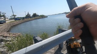 SUMMER FISHING 2024 CANARY CREEK LEWES DELAWARE [upl. by Ellie]