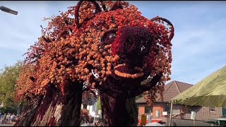 Bloemencorso Lichtenvoorde 2023 compleet zo 10 September 2023  1 uur en 3 min [upl. by Adnovahs433]