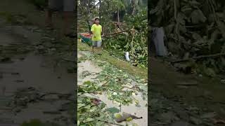 Lila Bohol aftermath Typhoon Rai Odette in Philippines [upl. by Walcott]