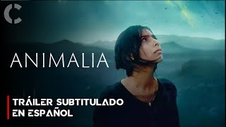 Animalia 2024  Tráiler Subtitulado en Español [upl. by Saleme433]