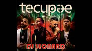 TECUPAE MIX  GRANDES EXITOS MIX  DJ LEONARD [upl. by Enida]