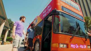 City Sightseeing New Orleans [upl. by Shiverick]