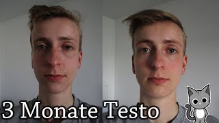 3 Monate Testosteron FtM [upl. by Dnaltroc892]