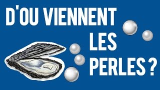 Comment Les Huîtres Fabriquentelles Les Perles [upl. by Zoha]