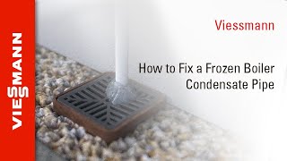 How To Remove Worcester Boiler Condensate Trap For Cleaning [upl. by Brad316]