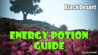 Black Desert Energy Potion Guide  Where to Exchange for Energy Potions [upl. by Mollee]