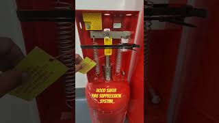 Hood Safer Fire Suppression System yt fireprevention firesuppression firesafety subscribe [upl. by Roi507]