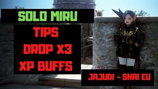 Cómo grindeo Mirumok SOLO  100kkh y XP buffs  Black Desert Online Español  Jajudi Shai EU [upl. by Parrie]