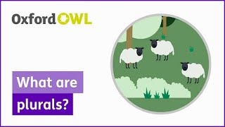 What are plurals  Oxford Owl [upl. by Lasonde]