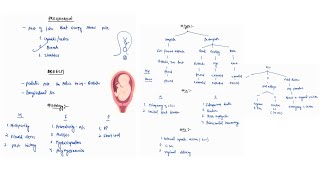 BREECH PRESENTATION NOTES  OBSTETRICS  OBGY  ONE PAGE NOTES  4TH PROFF  MBBS [upl. by Ajnos]