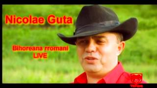 Nicolae Guta  Bihoreana rromani LIVE [upl. by Htenaj]