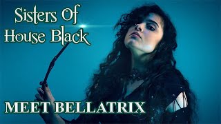 Meet Bellatrix Sisters of House Black [upl. by Crocker]