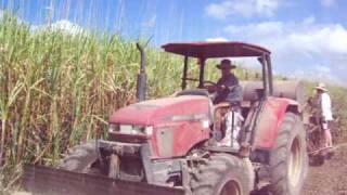 Sugar Cane planting Proserpine Queensland Australia [upl. by Mairb]