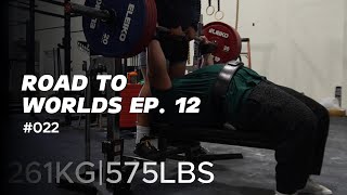 575 POUND BENCH PRESS Road to Worlds Ep 12  022 [upl. by Lillis]