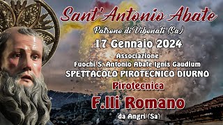 VIBONATI Sa  SantANTONIO Abate 2024  Pirotecnica Flli ROMANO Daylight Show [upl. by Asiul]