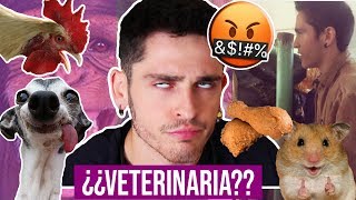 LA REALIDAD sobre VETERINARIA  Jose Zafer [upl. by Loretta]