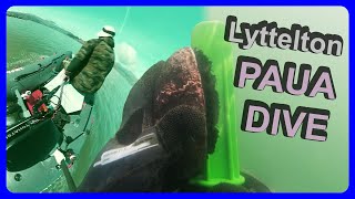 PAUA DIVE and boating adventure in murky Lyttelton Harbour [upl. by Devinna357]