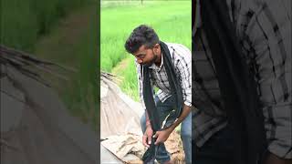 Mukhiya ke murrgi ka aanda chutkulemasti funnyvideo rkworldcomedy [upl. by Teirtza]