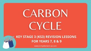 The Carbon Cycle its importance and how it works  Chemistry Revision Years 7 8 amp 9 [upl. by Westland]