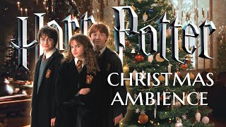 🎄🎁✧˖° CHRISTMAS at HOGWARTS ˖°✧🎄 Ambience amp Music 🎅🏻Harry Potter inspired Holiday Special 8 HOURS [upl. by Aiekal]