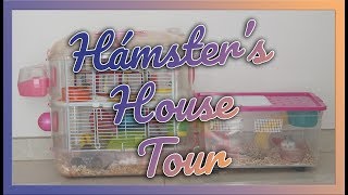 DESACTUALIZADO HAMSTERS HOUSE TOUR  Nueva Tupper Jaula  ¿Lecho vegetal o serrín [upl. by Atnuahs78]