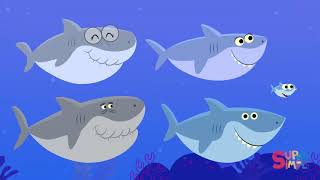 Baby Shark  Super Simple Songs Baby Music  Easytoremember song [upl. by Anh]