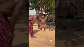 Do this exercise for wider latsNappapower Planetvegetagym bodybuilding fitness africa [upl. by Ajram896]