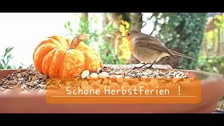 Schöne Herbstferien [upl. by Wester]