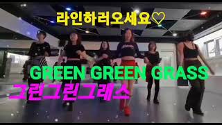 Green Green Grass Line dance이애리 라인댄스 [upl. by Erna]