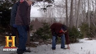 The Curse of Oak Island Meet Dave Blankenship  History [upl. by Ardnekal676]