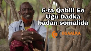 Shanta Qabiil Ee ugu Dadka badan Somalida  OGAALKAXAQIIQDA [upl. by Marmawke]