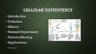 Cellular totipotency in Plants  Plant tissue culture  AZ Concepts guide [upl. by Ylrevaw]