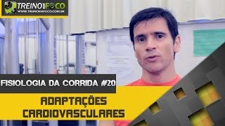 Adaptacoes Cardiovasculares Ocorrem Somente Em Treino Aeróbio  Fisiologia Da Corrida 19 [upl. by Gilberto461]