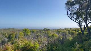 Boranup Forest Lookout [upl. by Hiram]